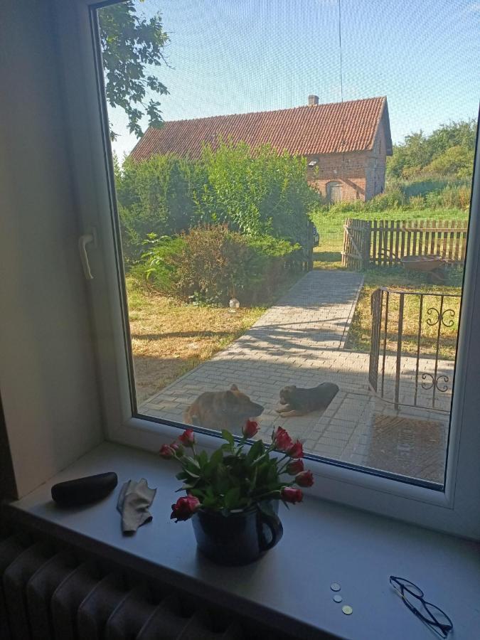 Zuzula Holiday home *