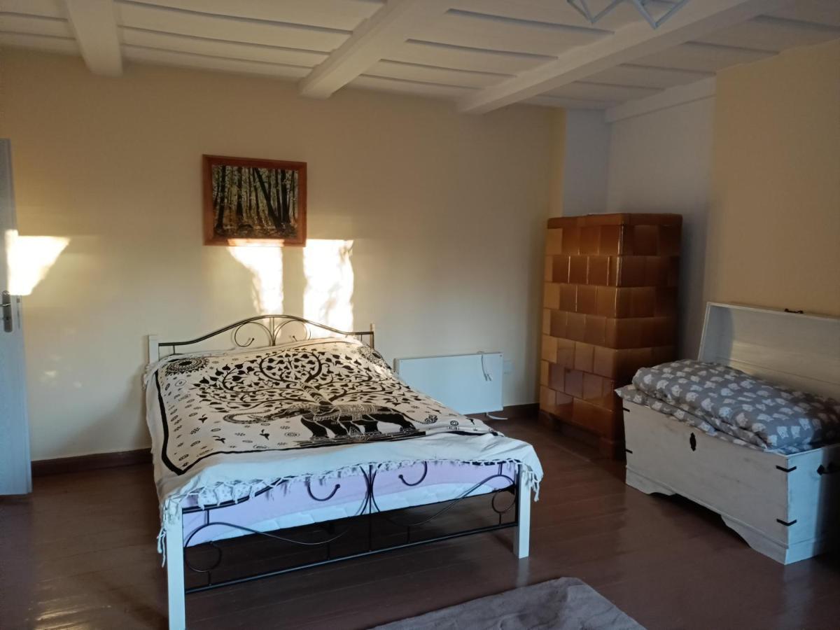 Zuzula Holiday home *